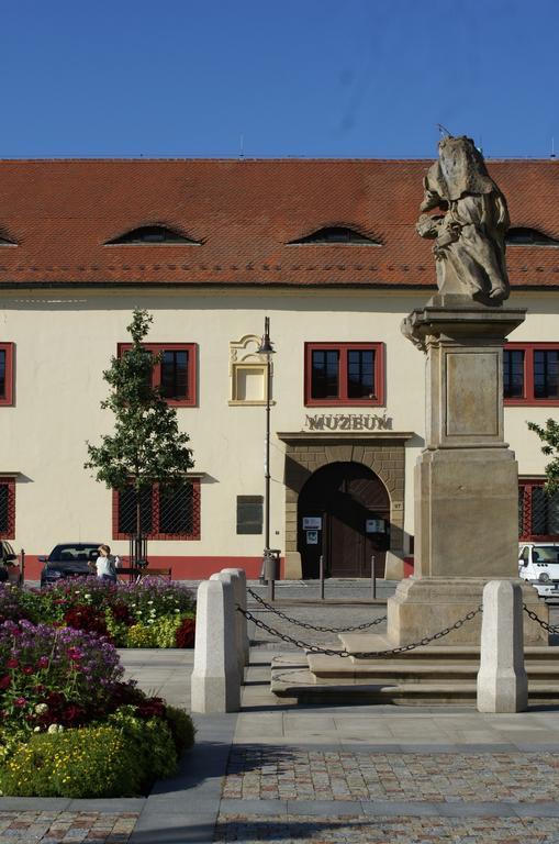 Villa Letna Brandýs nad Labem-Stará Boleslav Buitenkant foto